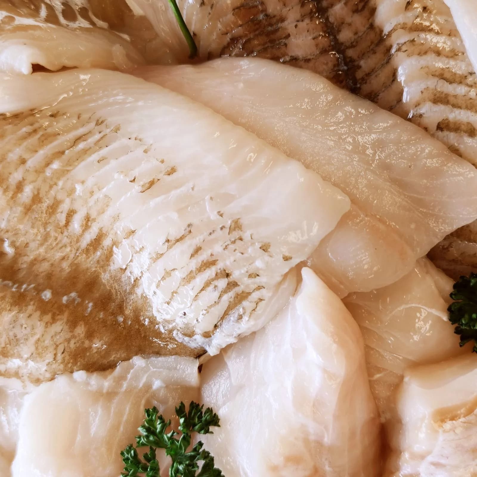 En fin fisk tallrik!